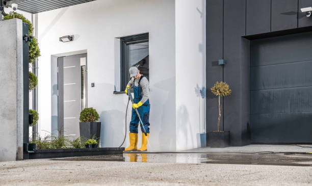 Best Sidewalk and Walkway Cleaning  in Clearwater, FL